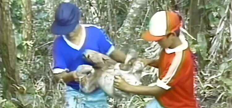 Video | Más de 1.000 niños de las calles de Bogotá en la selva de Acandí