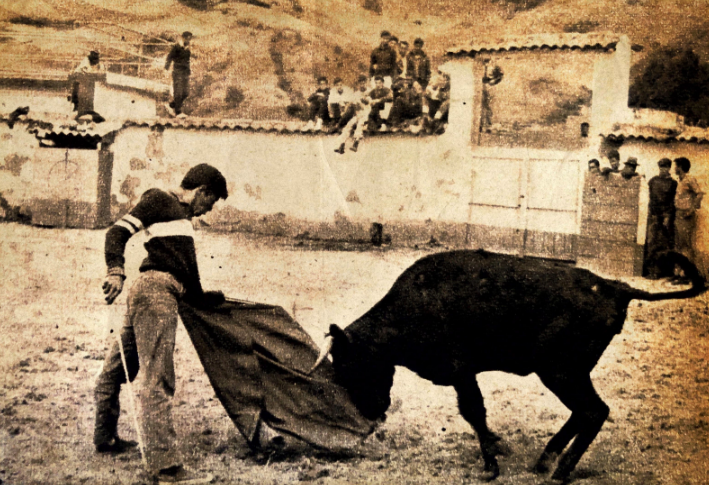 TOROS BRAVOS DONDE MORAN LAS ÁGUILAS