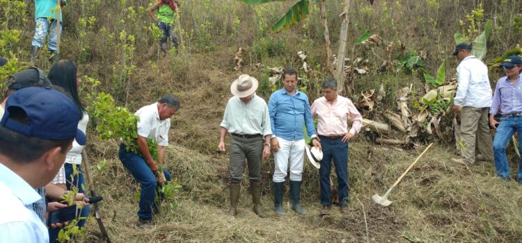 Descertificación a Colombia por no librar una guerra ajena